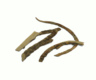 calamo-aromaticoedit