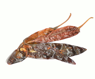 chile-guajillo