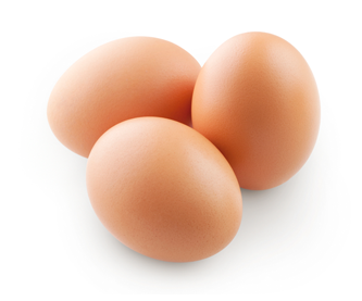 egg