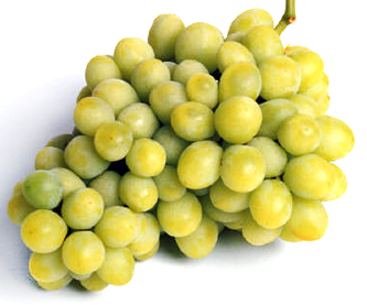 grape