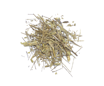 verbena
