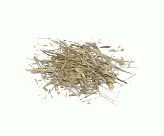 verbena