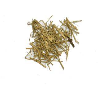 vincapervinca